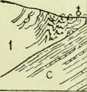 An illustration from Archives des sciences physiques et naturelles, 1919, leaf 260
