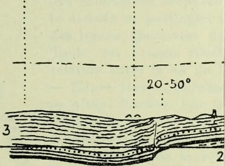 An illustration from Archives des sciences physiques et naturelles, 1919, leaf 262