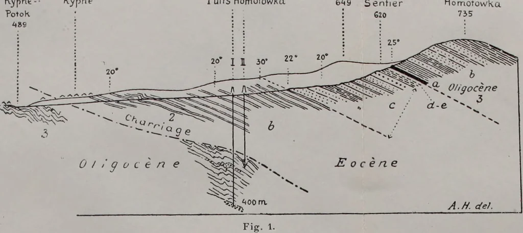 An illustration from Archives des sciences physiques et naturelles, 1919, leaf 263