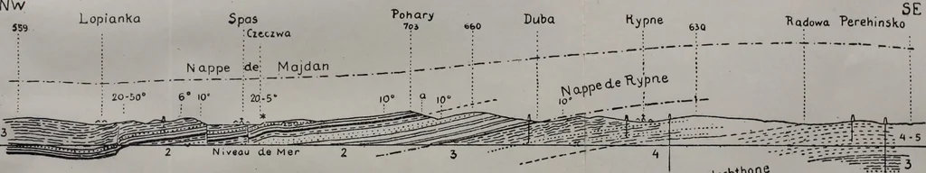 An illustration from Archives des sciences physiques et naturelles, 1919, leaf 263
