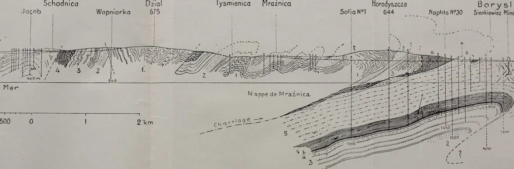 An illustration from Archives des sciences physiques et naturelles, 1919, leaf 335