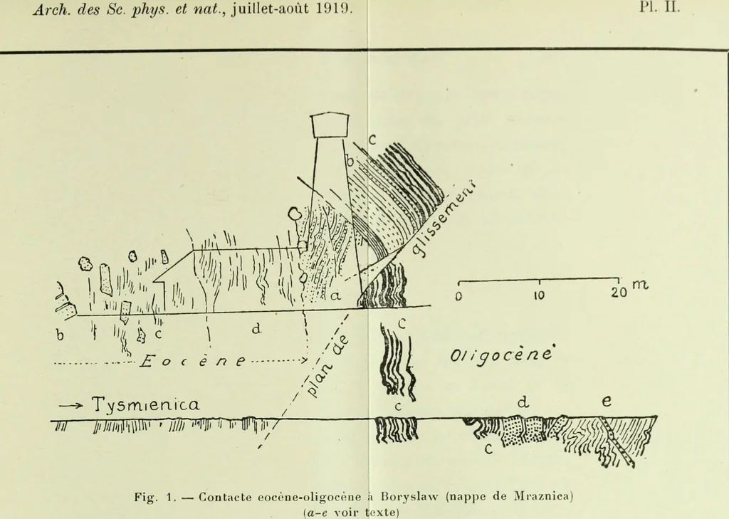 An illustration from Archives des sciences physiques et naturelles, 1919, leaf 336