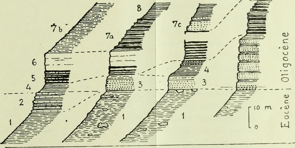 An illustration from Archives des sciences physiques et naturelles, 1919, leaf 336