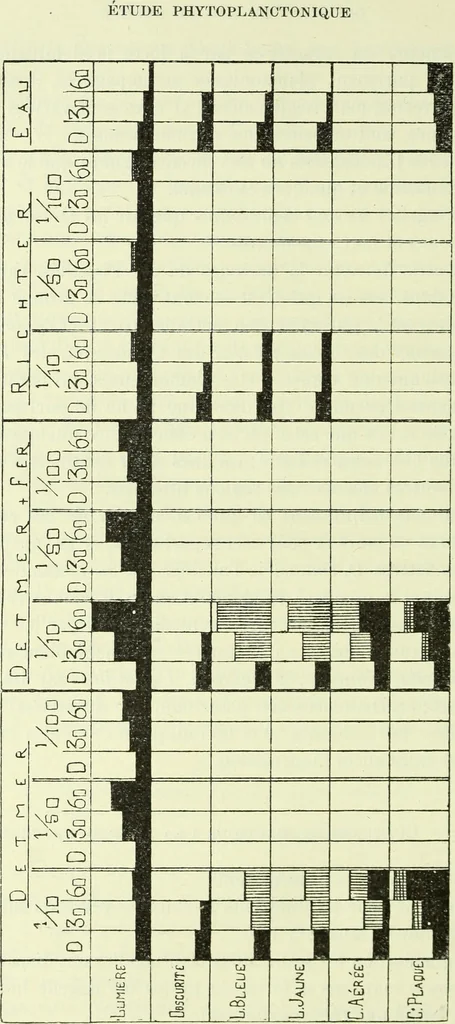 An illustration from Archives des sciences physiques et naturelles, 1919, leaf 345