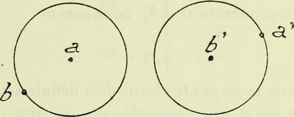 An illustration from Archives des sciences physiques et naturelles, 1919, leaf 432