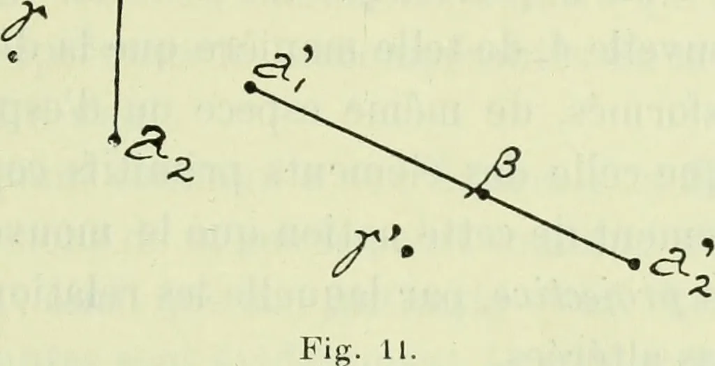 An illustration from Archives des sciences physiques et naturelles, 1919, leaf 436