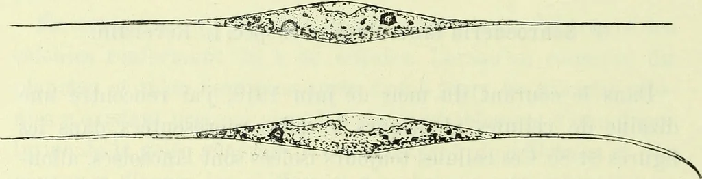 An illustration from Archives des sciences physiques et naturelles, 1919, leaf 477