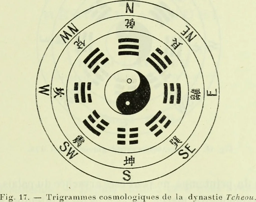 An illustration from Archives des sciences physiques et naturelles, 1919, leaf 626