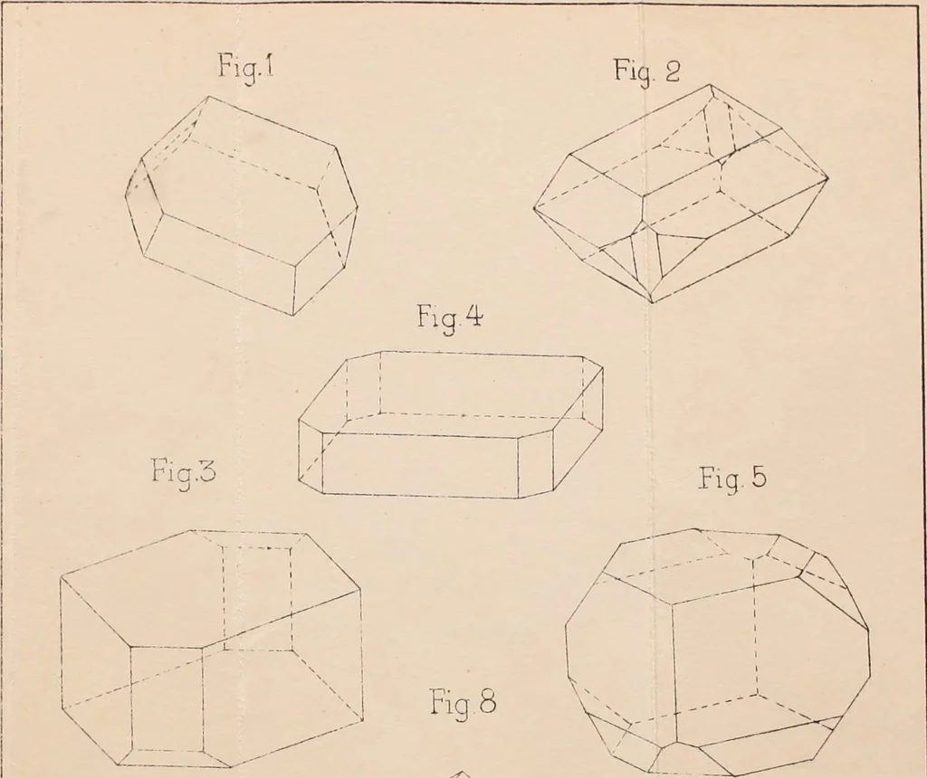 An illustration from Archives des sciences physiques et naturelles, 1878, leaf 333