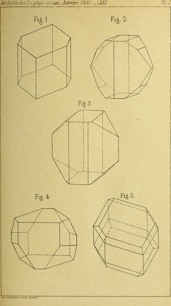 An illustration from Archives des sciences physiques et naturelles, 1878, leaf 40