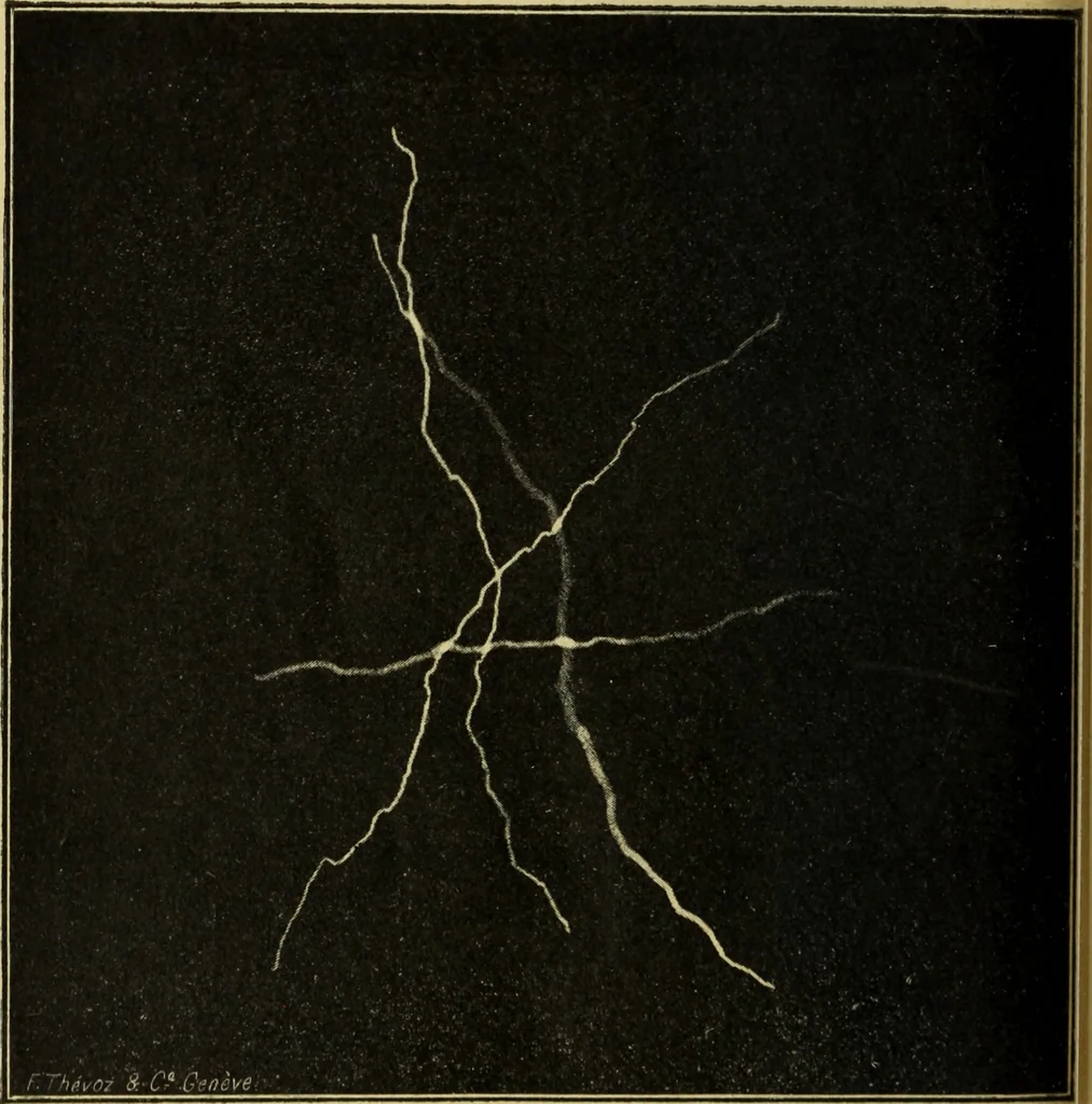 An illustration from Archives des sciences physiques et naturelles, 1878, leaf 477