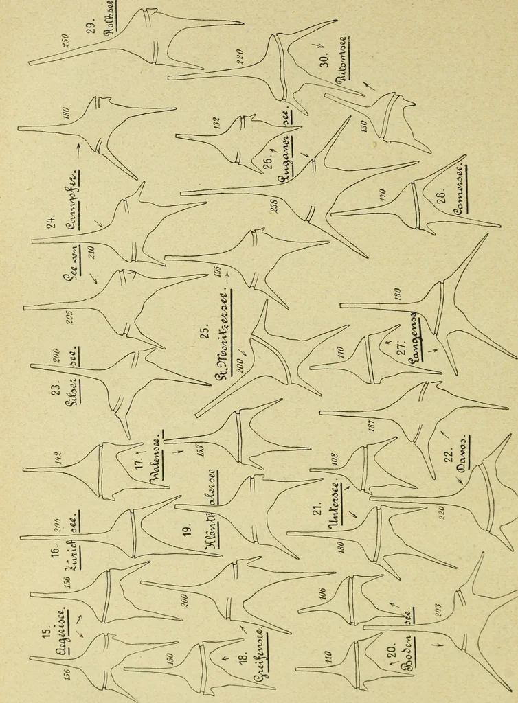 An illustration from Archives des sciences physiques et naturelles, 1896, leaf 367