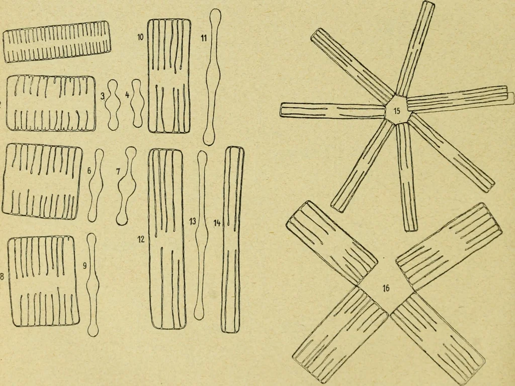 An illustration from Archives des sciences physiques et naturelles, 1896, leaf 369