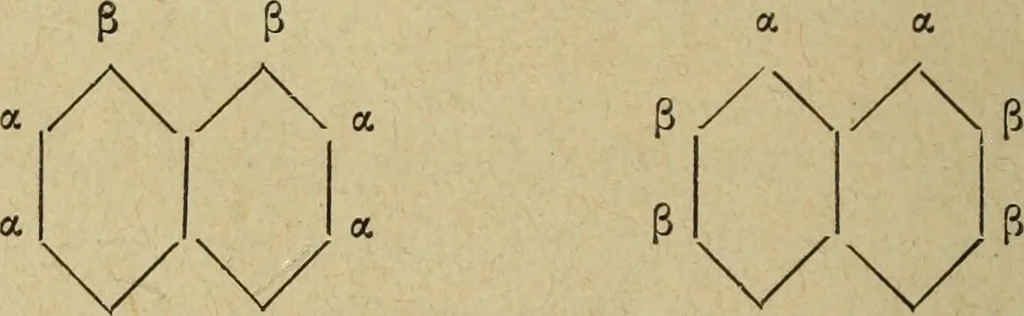 An illustration from Archives des sciences physiques et naturelles, 1878, leaf 355