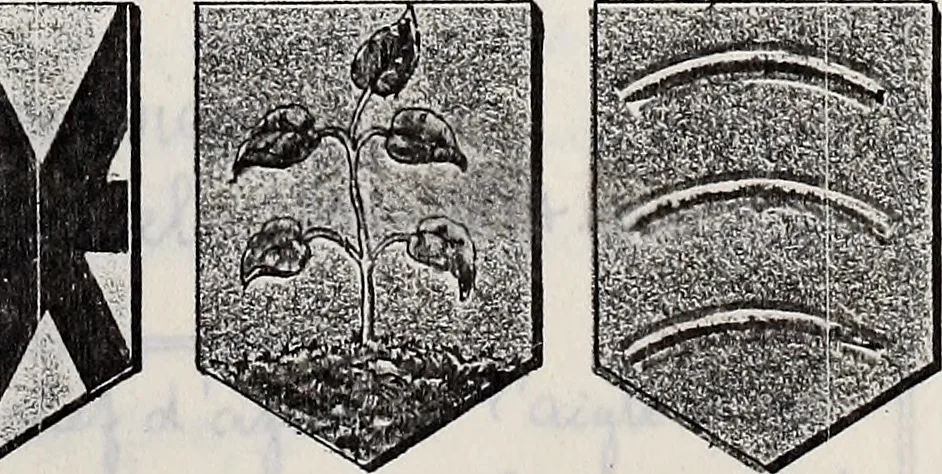 An illustration from Archives héraldiques suisses. Schweizer archiv für heraldik, 1887, leaf 160