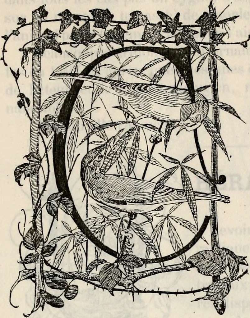An illustration from Archives héraldiques suisses. Schweizer archiv für heraldik, 1887, leaf 76