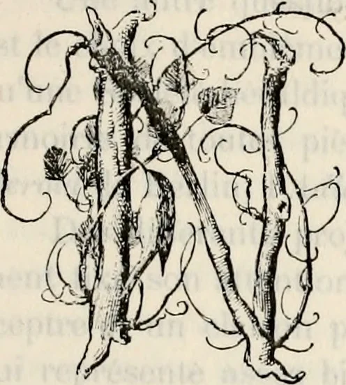 An illustration from Archives héraldiques suisses. Schweizer archiv für heraldik, 1887, leaf 8