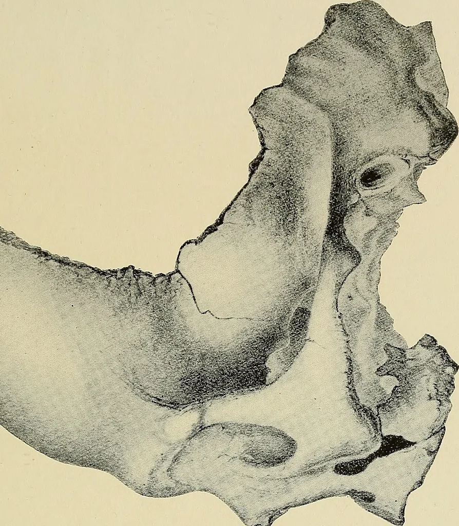 An illustration from Archæology and false antiquities, 1906, leaf 120