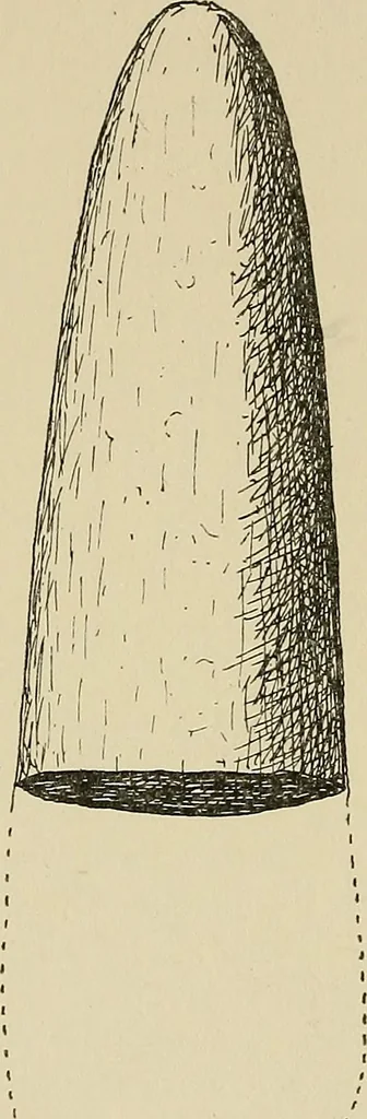 An illustration from Archæology and false antiquities, 1906, leaf 131