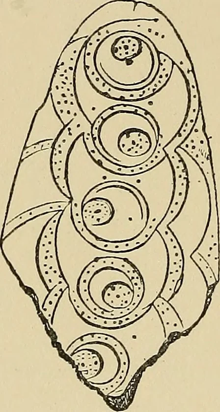 An illustration from Archæology and false antiquities, 1906, leaf 239