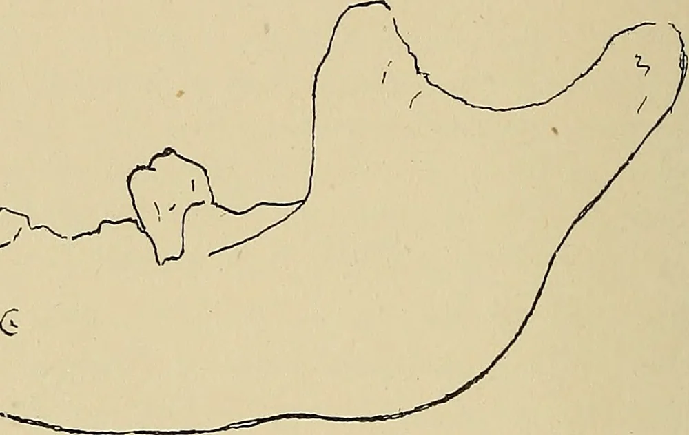 An illustration from Archæology and false antiquities, 1906, leaf 53
