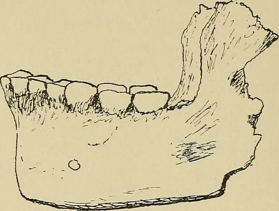An illustration from Archæology and false antiquities, 1906, leaf 57