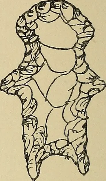 An illustration from Archæology and false antiquities, 1906, leaf 99