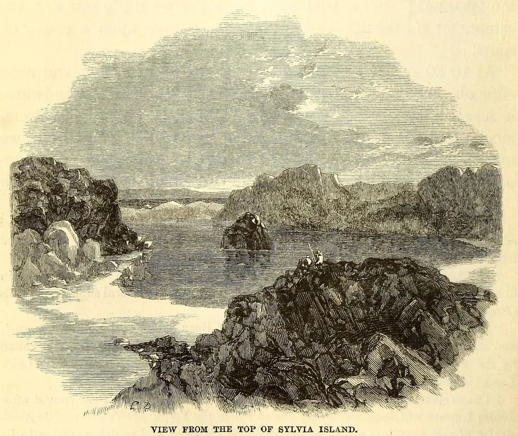 An illustration from Arctic researches, and life among the Esquimaux; being the narrative of an expedition in search of Sir John Franklin, in the years 1860, 1861, and 1862, 1865, leaf 318
