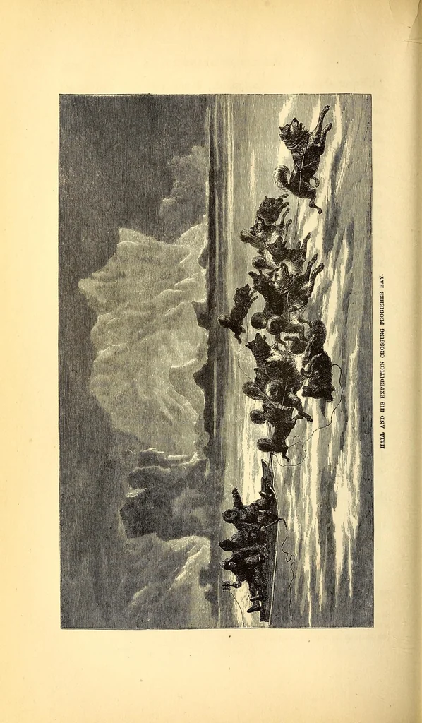 An illustration from Arctic researches, and life among the Esquimaux; being the narrative of an expedition in search of Sir John Franklin, in the years 1860, 1861, and 1862, 1865, leaf 556