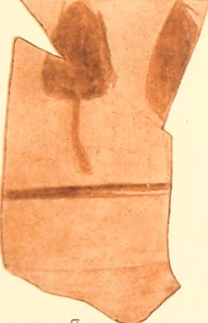 An illustration from Areika, 1909, leaf 120