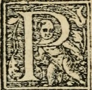An illustration from Aresta amorum, accuratissimis Benedicti Curtii Symphoriani commentarius ad utriusque juris rationem, forensiumque actionum usum, quam acutissime accommodata, 1546, leaf 113