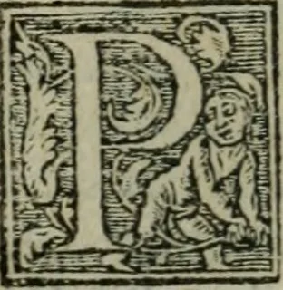 An illustration from Aresta amorum, accuratissimis Benedicti Curtii Symphoriani commentarius ad utriusque juris rationem, forensiumque actionum usum, quam acutissime accommodata, 1546, leaf 134