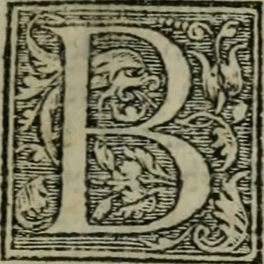 An illustration from Aresta amorum, accuratissimis Benedicti Curtii Symphoriani commentarius ad utriusque juris rationem, forensiumque actionum usum, quam acutissime accommodata, 1546, leaf 14