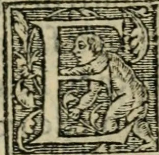 An illustration from Aresta amorum, accuratissimis Benedicti Curtii Symphoriani commentarius ad utriusque juris rationem, forensiumque actionum usum, quam acutissime accommodata, 1546, leaf 201