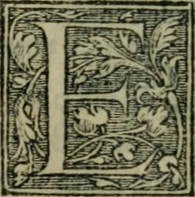 An illustration from Aresta amorum, accuratissimis Benedicti Curtii Symphoriani commentarius ad utriusque juris rationem, forensiumque actionum usum, quam acutissime accommodata, 1546, leaf 206