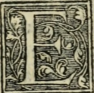 An illustration from Aresta amorum, accuratissimis Benedicti Curtii Symphoriani commentarius ad utriusque juris rationem, forensiumque actionum usum, quam acutissime accommodata, 1546, leaf 231