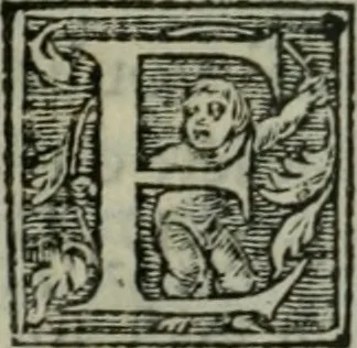 An illustration from Aresta amorum, accuratissimis Benedicti Curtii Symphoriani commentarius ad utriusque juris rationem, forensiumque actionum usum, quam acutissime accommodata, 1546, leaf 234