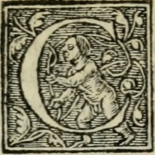 An illustration from Aresta amorum, accuratissimis Benedicti Curtii Symphoriani commentarius ad utriusque juris rationem, forensiumque actionum usum, quam acutissime accommodata, 1546, leaf 239