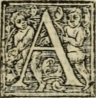 An illustration from Aresta amorum, accuratissimis Benedicti Curtii Symphoriani commentarius ad utriusque juris rationem, forensiumque actionum usum, quam acutissime accommodata, 1546, leaf 249