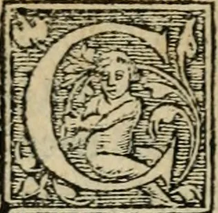 An illustration from Aresta amorum, accuratissimis Benedicti Curtii Symphoriani commentarius ad utriusque juris rationem, forensiumque actionum usum, quam acutissime accommodata, 1546, leaf 259