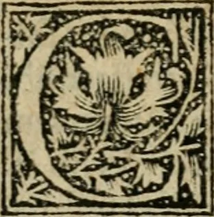 An illustration from Aresta amorum, accuratissimis Benedicti Curtii Symphoriani commentarius ad utriusque juris rationem, forensiumque actionum usum, quam acutissime accommodata, 1546, leaf 275