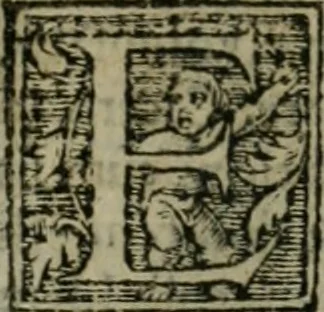 An illustration from Aresta amorum, accuratissimis Benedicti Curtii Symphoriani commentarius ad utriusque juris rationem, forensiumque actionum usum, quam acutissime accommodata, 1546, leaf 286