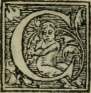 An illustration from Aresta amorum, accuratissimis Benedicti Curtii Symphoriani commentarius ad utriusque juris rationem, forensiumque actionum usum, quam acutissime accommodata, 1546, leaf 292