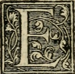 An illustration from Aresta amorum, accuratissimis Benedicti Curtii Symphoriani commentarius ad utriusque juris rationem, forensiumque actionum usum, quam acutissime accommodata, 1546, leaf 295