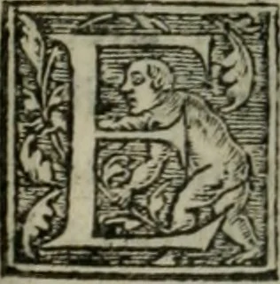 An illustration from Aresta amorum, accuratissimis Benedicti Curtii Symphoriani commentarius ad utriusque juris rationem, forensiumque actionum usum, quam acutissime accommodata, 1546, leaf 300