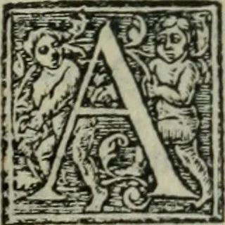 An illustration from Aresta amorum, accuratissimis Benedicti Curtii Symphoriani commentarius ad utriusque juris rationem, forensiumque actionum usum, quam acutissime accommodata, 1546, leaf 314