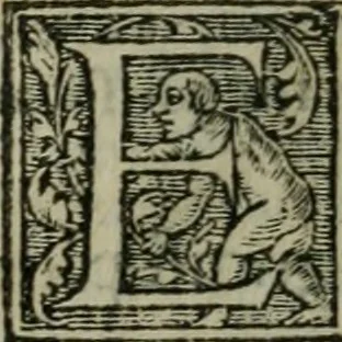 An illustration from Aresta amorum, accuratissimis Benedicti Curtii Symphoriani commentarius ad utriusque juris rationem, forensiumque actionum usum, quam acutissime accommodata, 1546, leaf 338