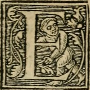 An illustration from Aresta amorum, accuratissimis Benedicti Curtii Symphoriani commentarius ad utriusque juris rationem, forensiumque actionum usum, quam acutissime accommodata, 1546, leaf 355
