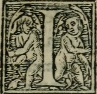 An illustration from Aresta amorum, accuratissimis Benedicti Curtii Symphoriani commentarius ad utriusque juris rationem, forensiumque actionum usum, quam acutissime accommodata, 1546, leaf 362