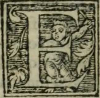 An illustration from Aresta amorum, accuratissimis Benedicti Curtii Symphoriani commentarius ad utriusque juris rationem, forensiumque actionum usum, quam acutissime accommodata, 1546, leaf 362